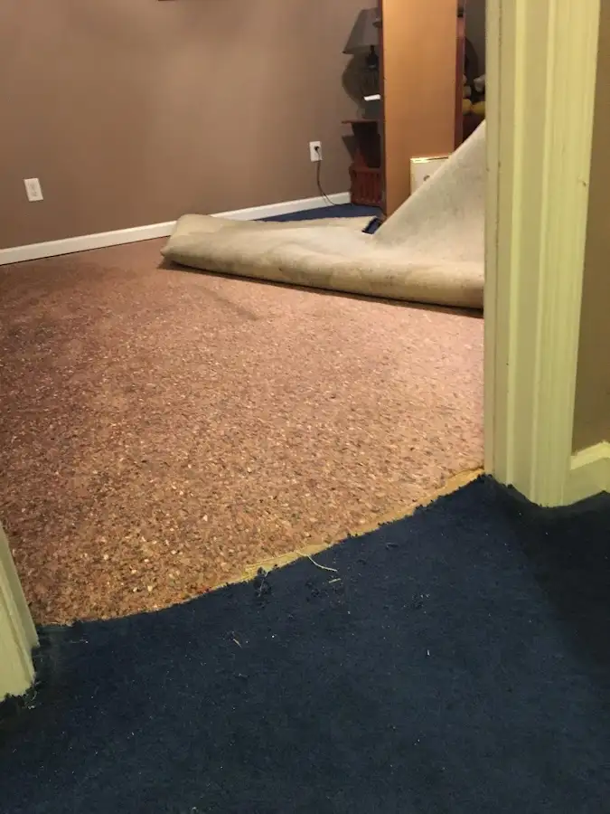Carpet pad removal revealing water damage during Drying & Dehumidification in West Odessa