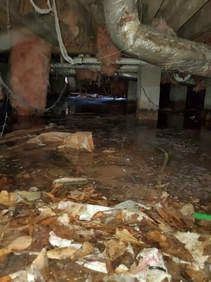 Crawl space flood assessment for Leak Detection & Repair in West Odessa